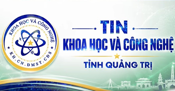 Kiểm tra thực địa nhiệm vụ khoa học và công nghệ Nuôi thương phẩm cá mú Trân Châu trong ao đất bằng thức ăn công nghiệp trên địa bàn tỉnh
